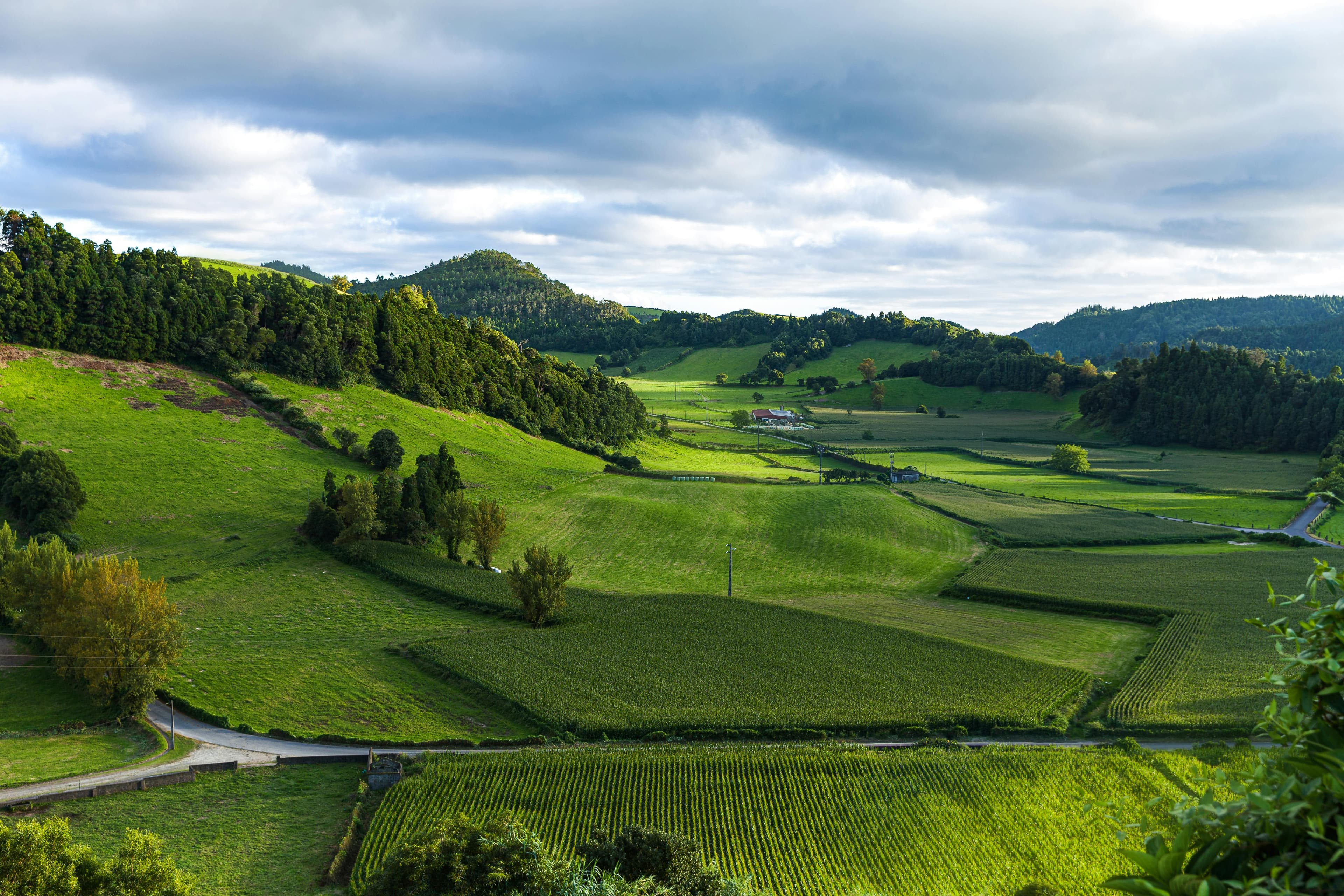 Cultivated farmland